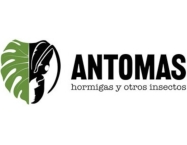 Myrmecocistus placodops - Hormiga mielera