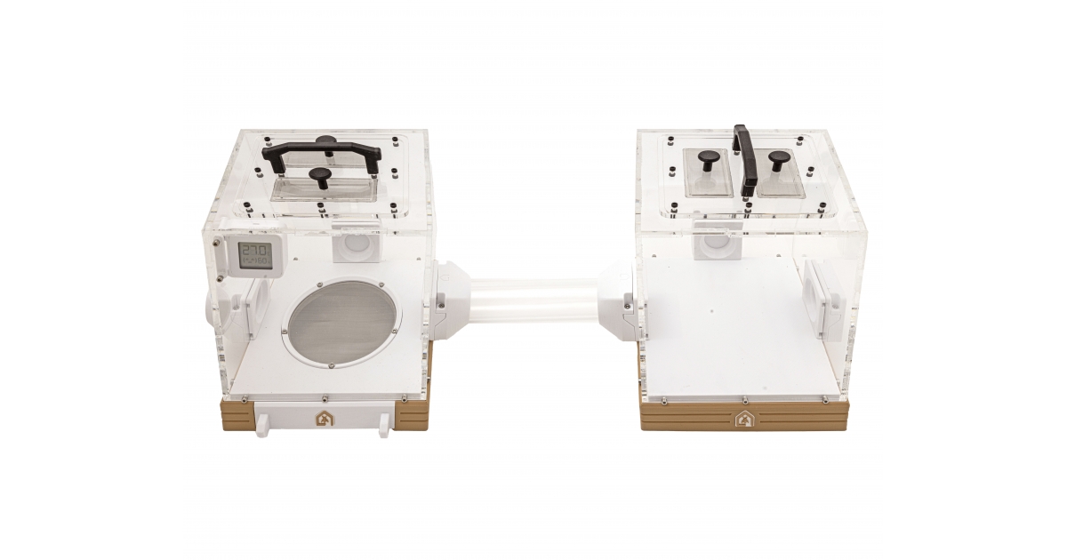 Anthouse Fungarium Kit for leafcutter ants